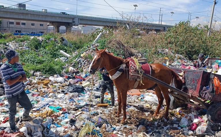 Detienen a 'carretoneros' por maltratar caballos y tirar basura en Ecatepec