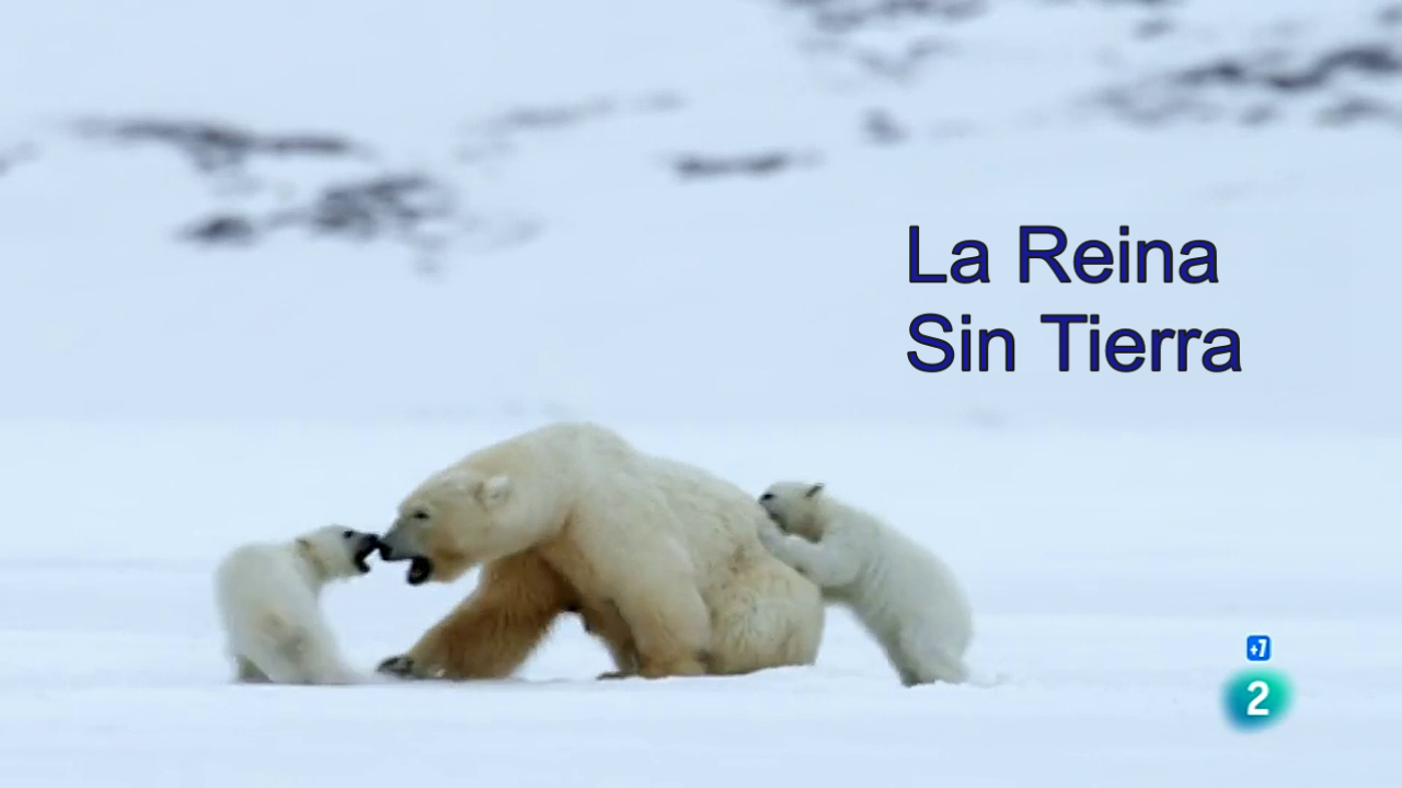 La reina sin tierra (2019) webdl  720p Español