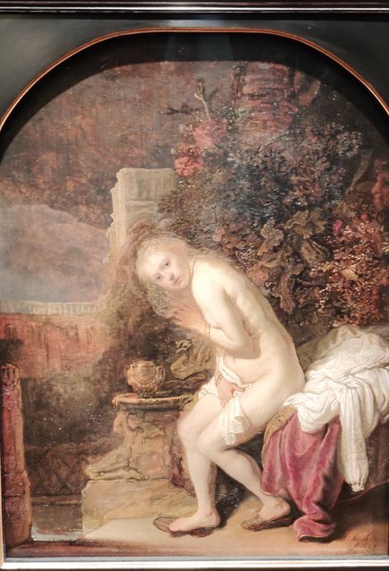 Escapada por Amsterdam - La Haya - Delft - Rotterdam - Leiden - Londres - Blogs de Europa - Museo Mauritshuis, decepcionante Depot Boijmans y callejeo por Delft y Leiden (40)