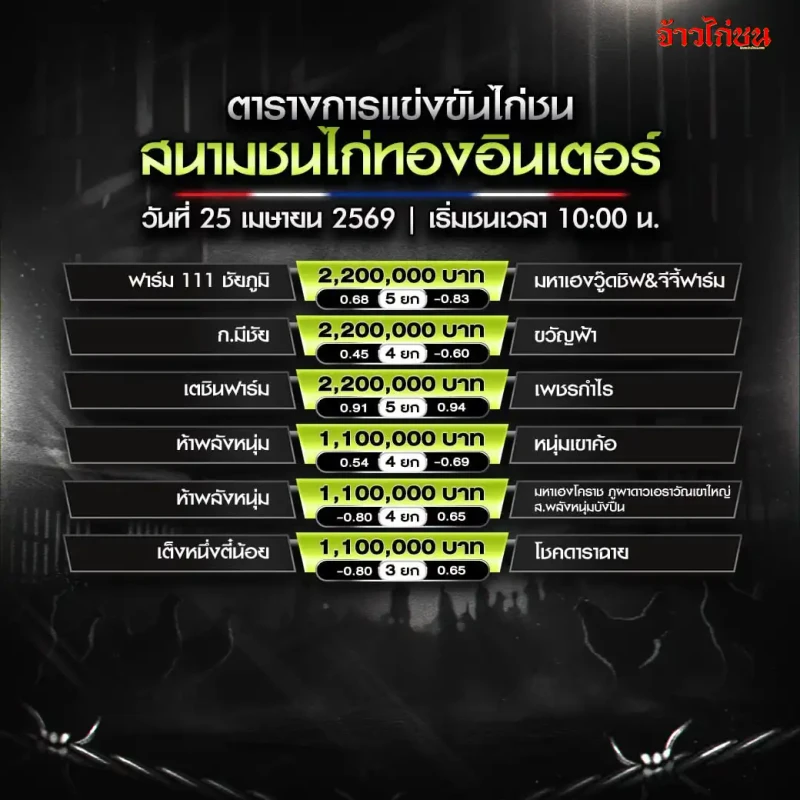 โปรแกรมไก่ชน สนามชนไก่ทองอินเตอร์ วันเสาร์ที่ 25 เมษายน 2569