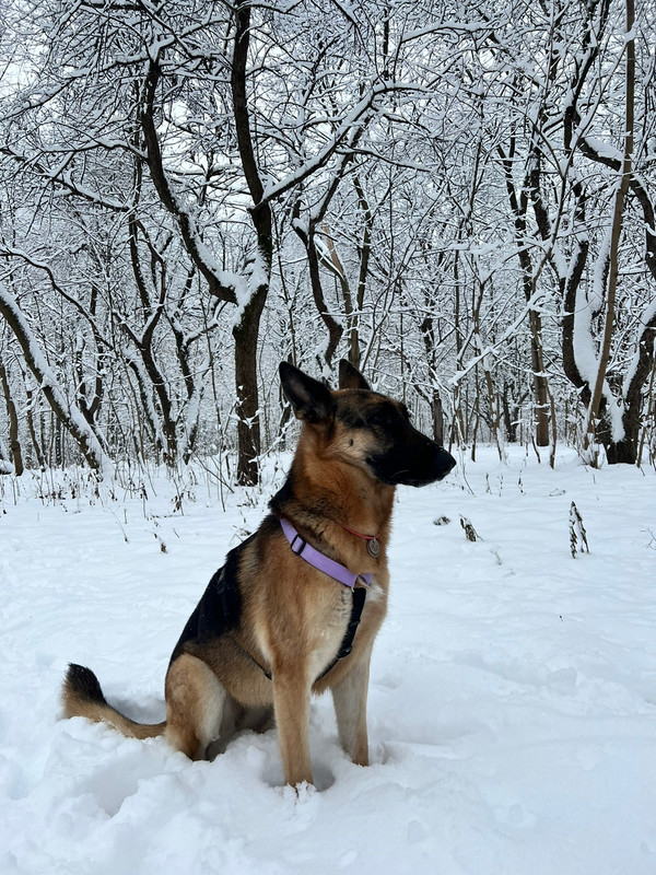 CF752B65-5F32-447C-B6D1-B2C23B415182