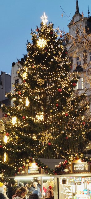 La pinacoteca del Castillo, la Galería Nacional y más Mercados de Navidad - Viena - Bratislava - Praga, Navidad 2024 (131)