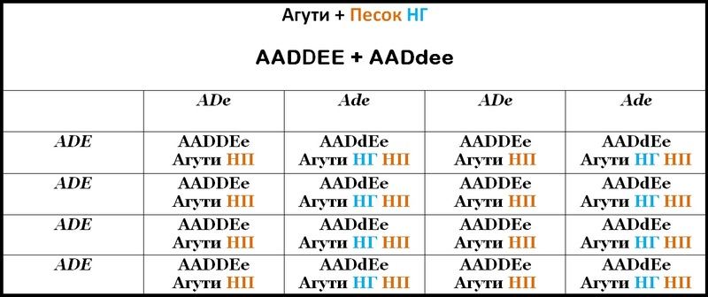 Таблица 16