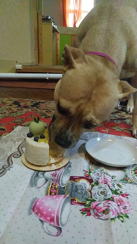 8C7C8E6B-E9B3-46E7-A384-8ADB6051C6AE