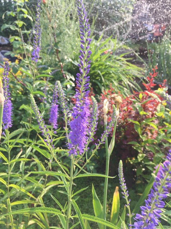 97B50463-A758-4D93-BB67-B022FB5F3952