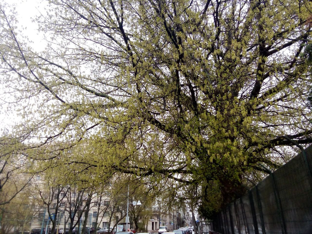 photo_2025-04-01 8.18.02 пп