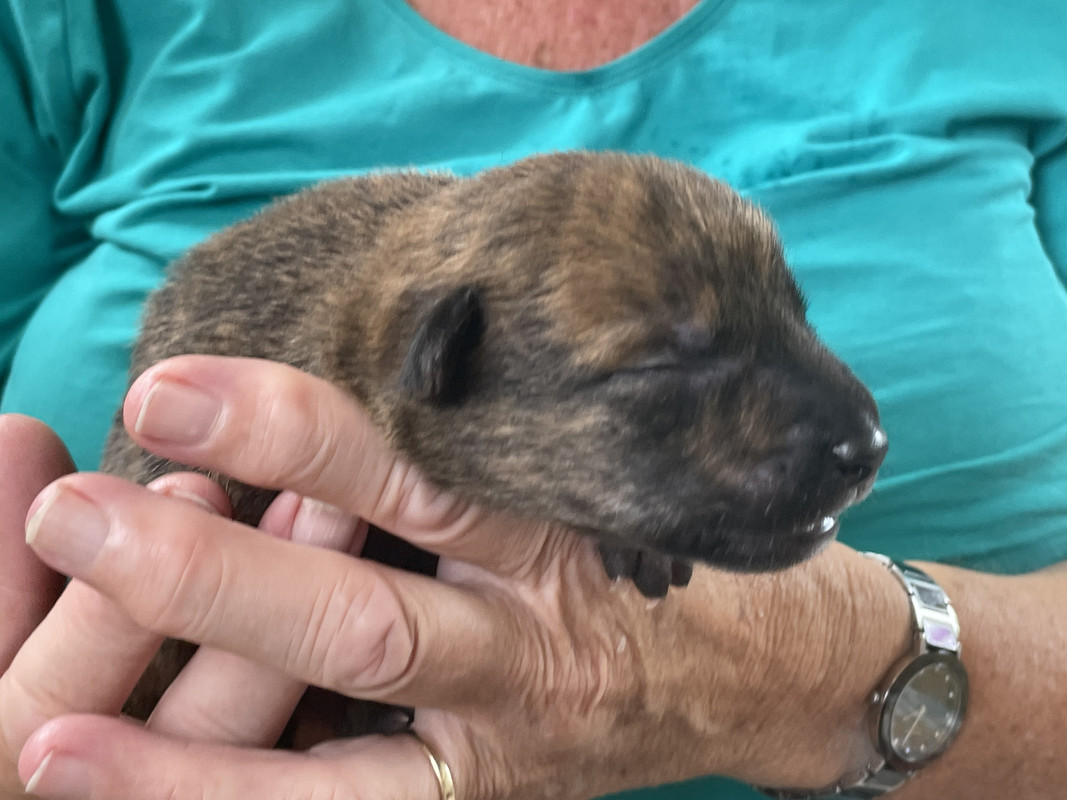 3A5F9A0C-8562-4F97-8532-34213C3810BF