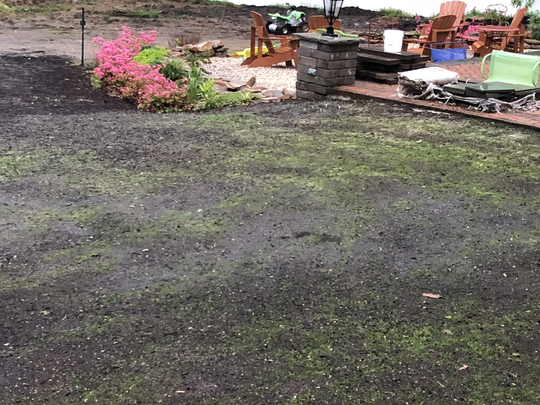 8814AA51-5E9F-4DD5-ACF9-95D501FBEE25