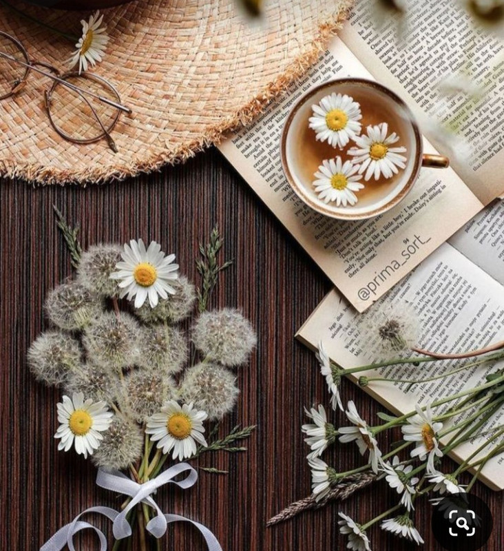 Screenshot_20240604_161057_Pinterest