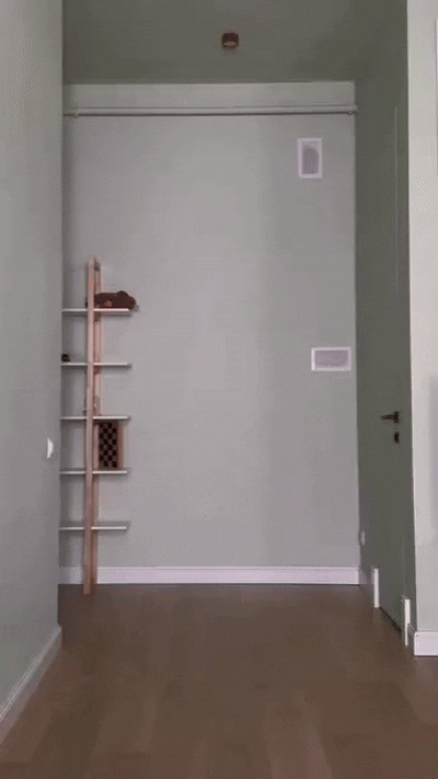 a1cdaa0e-d151-4ce3-872d-2c3467da6580.gif