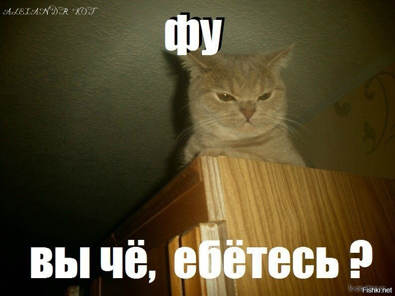 29b5a091-9d86-48b1-9edc-422f35290f73.jpg