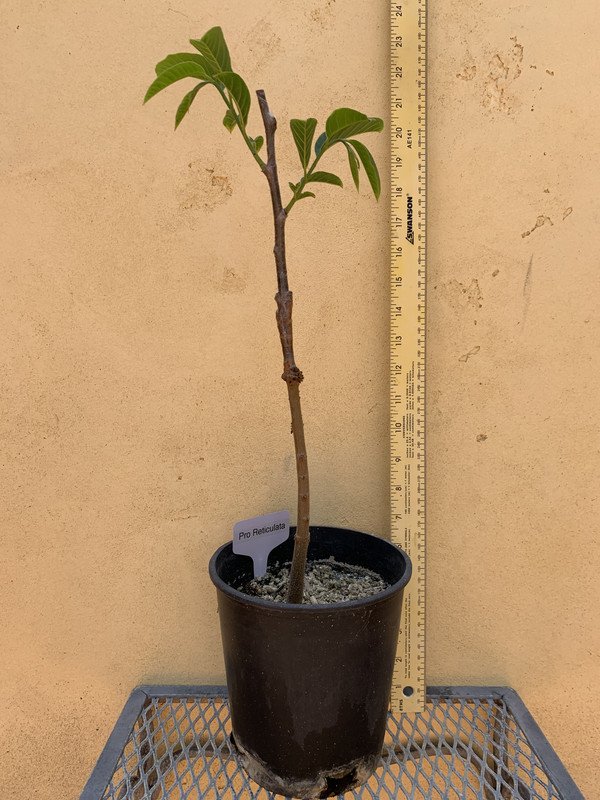 06B690D6-43E4-4550-930E-671BCA969145