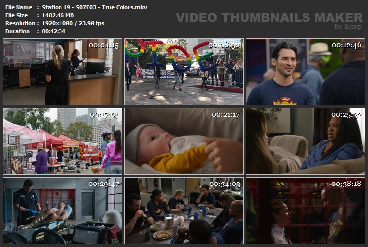 Station 19 - S07E03 - True Colors.mkv