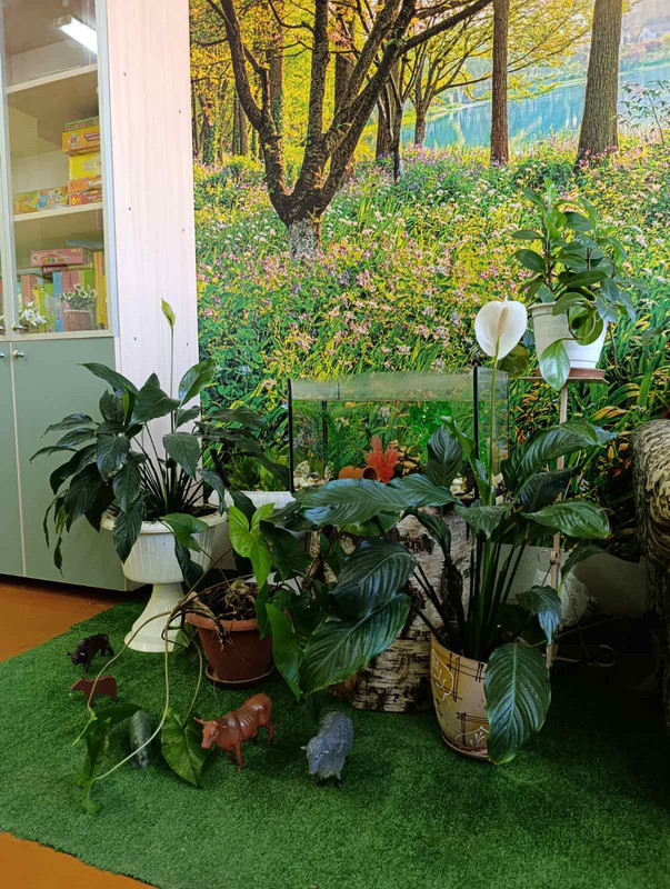 IMG-a8c8296d7fc7988718844d9df98aab9b-V