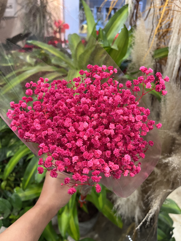 Ramillete Flor Preservada Fucsia