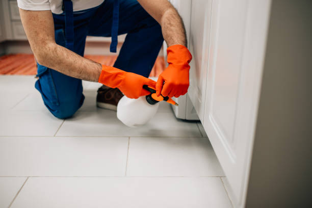 Orlando Termite Treatment