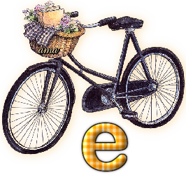 Bici Porta Flores  E