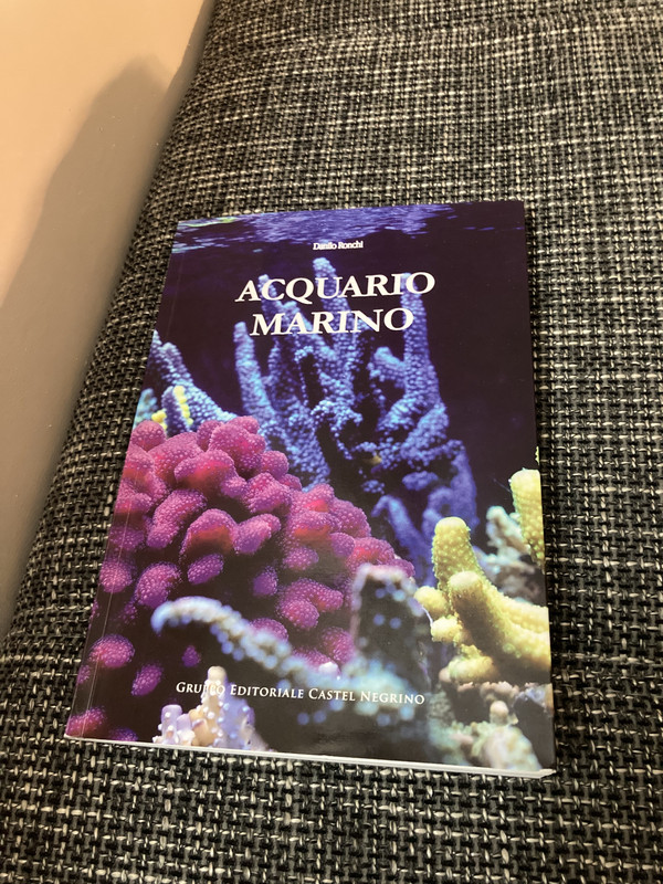 173DE13E-E59D-485A-A3EE-1DC42E764B00