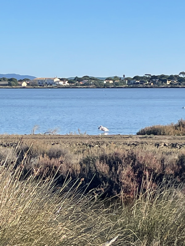 D72B5636-3322-499E-8260-7D251EECBCDA