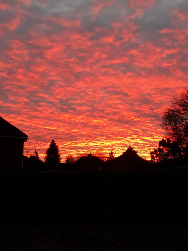 61F5832D-4FB6-4B2C-A75D-DDE3ECF32118