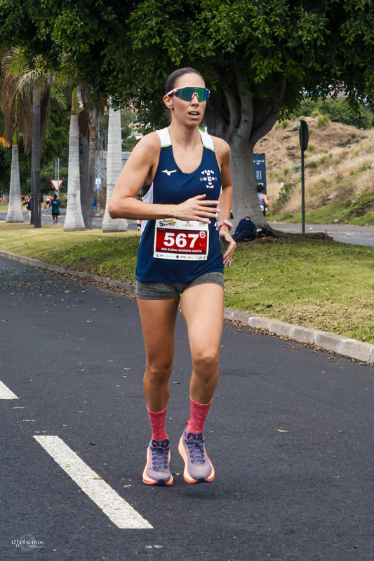 Canary-Run 121