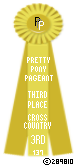 Cross-Country-137-Yellow.png