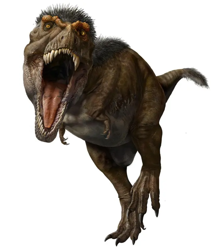 t-rex-rocked-mullet-feathers-its-head-and-neck-and-some-its-tail-too