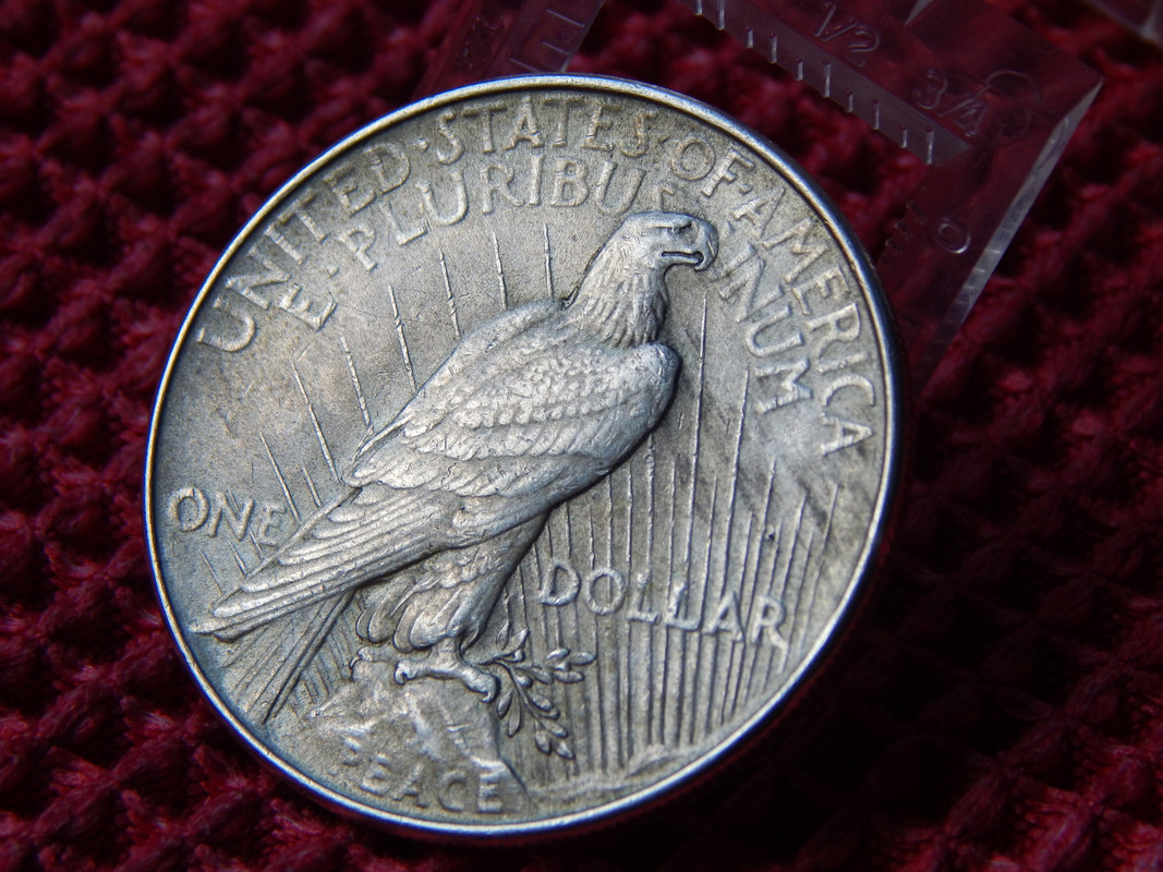 1 dólar EE.UU 1922 DSCN3215
