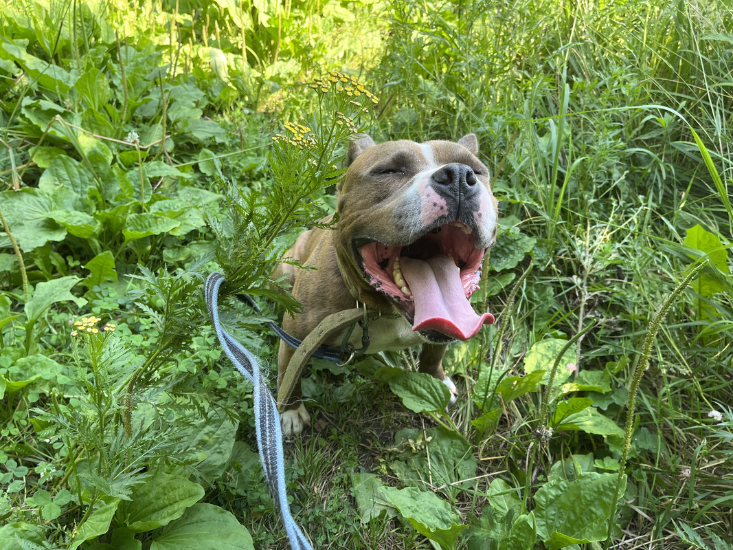 90B68701-E76E-48E6-BD30-28C7DF023EDC