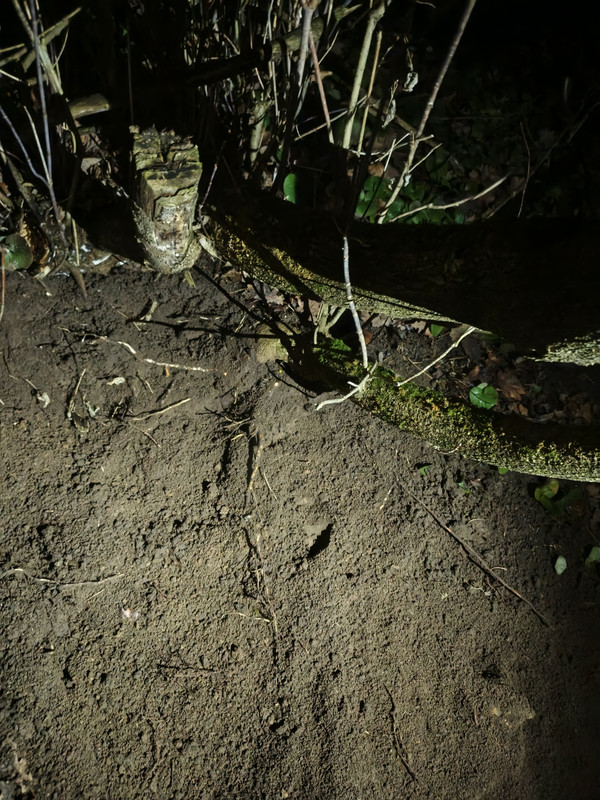 IMG 20251206 202425 348