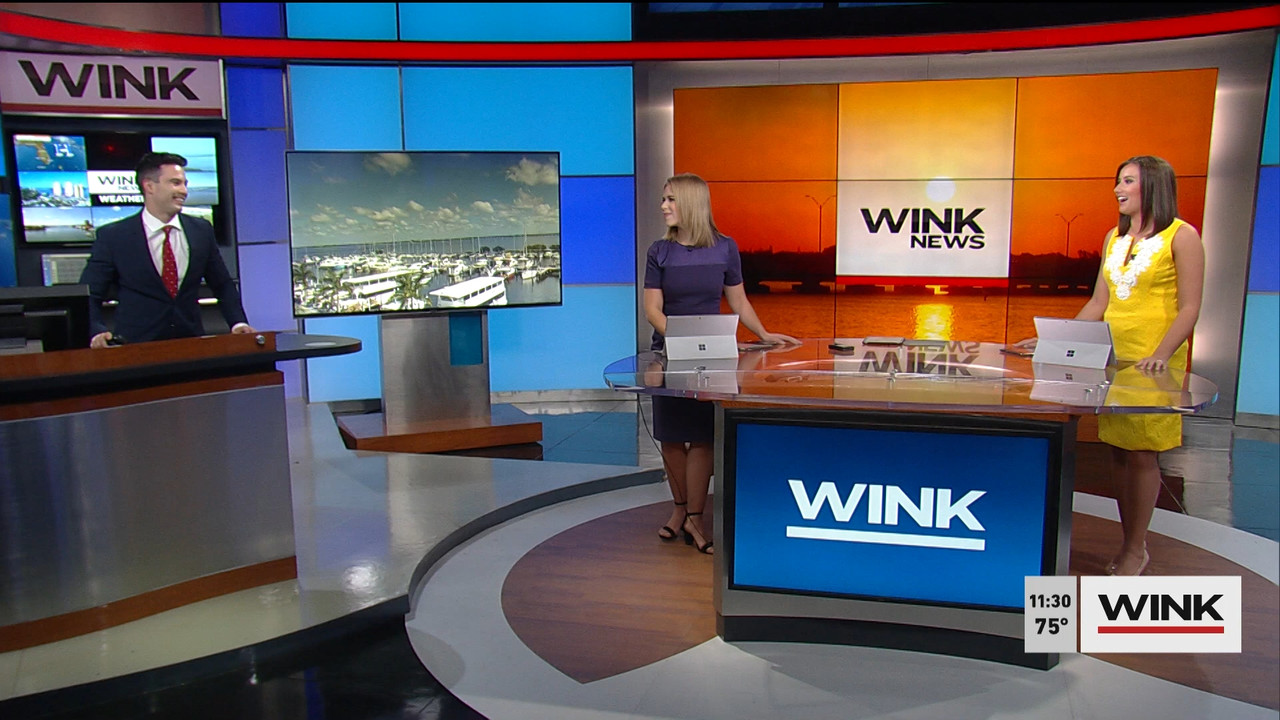 03.14 - 15.30.00 - WINK News @ 11 30AM. Local news, sports and weathe....ts_snapshot_01.58.423
