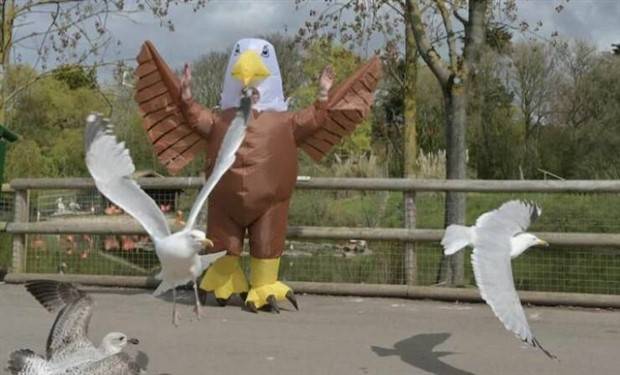 klyker-picdump-5-4-2023-2.jpg
