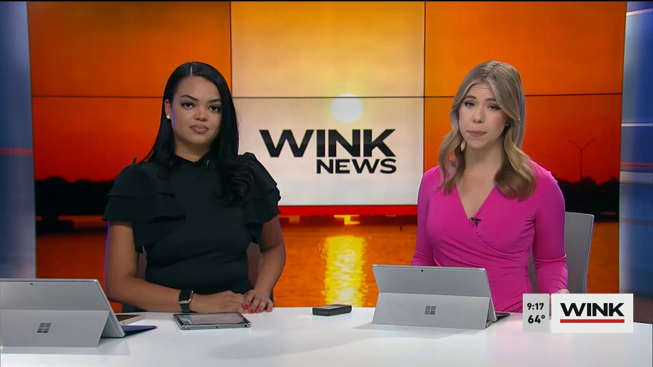 02.18 - 14.00.00 - WINK News at 9 00AM  ᴺᵉʷ. Morning news.ts_snapshot_00.24.09.756