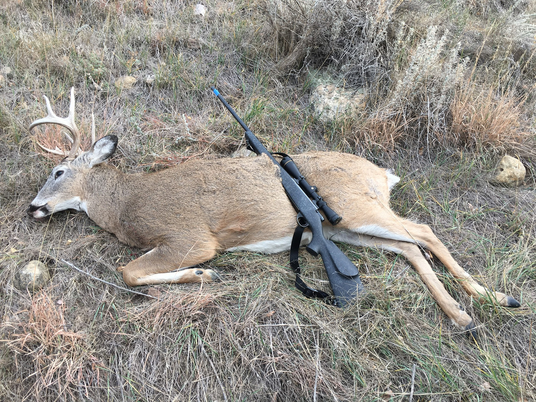 44A62062-2D46-43C1-BD95-7E589F07BDFB