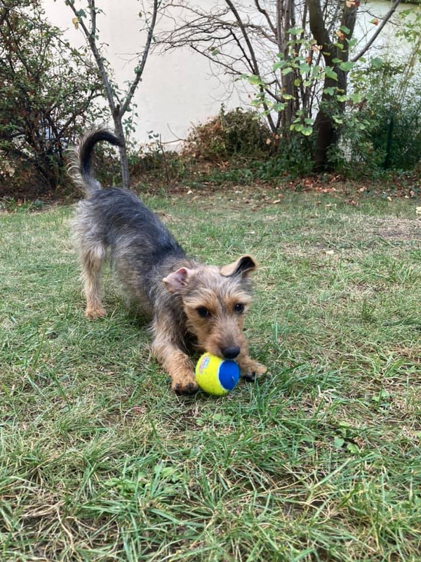 [Image: 120031068-10207995877130376-7731445203187531492-n.jpg]