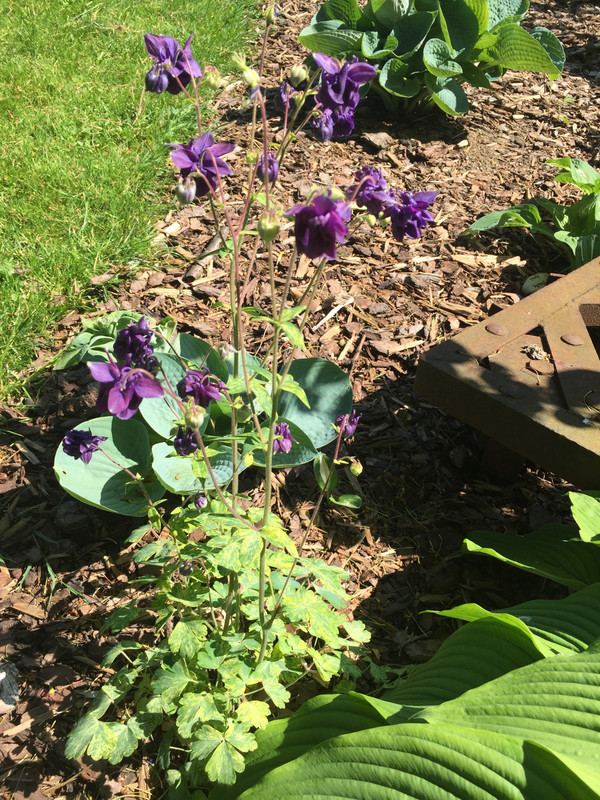 F9D8AC8F-E004-461B-B32F-FE5B8A61C73C