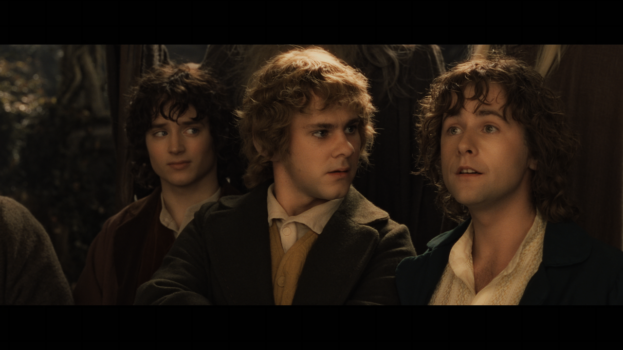 The Lord of the Rings- The Fellowship of the Ring (EXT.) PT. 1.mkv_snapshot_01.45.37_[2020.12.05_22.