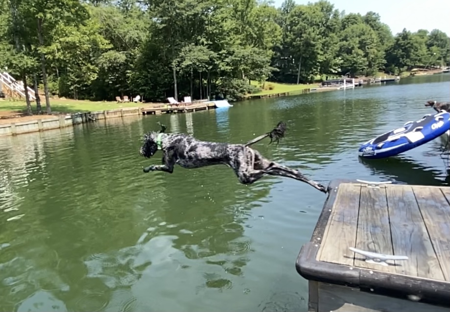 8584C232-90C1-45D0-8E7F-1289A865C4B1