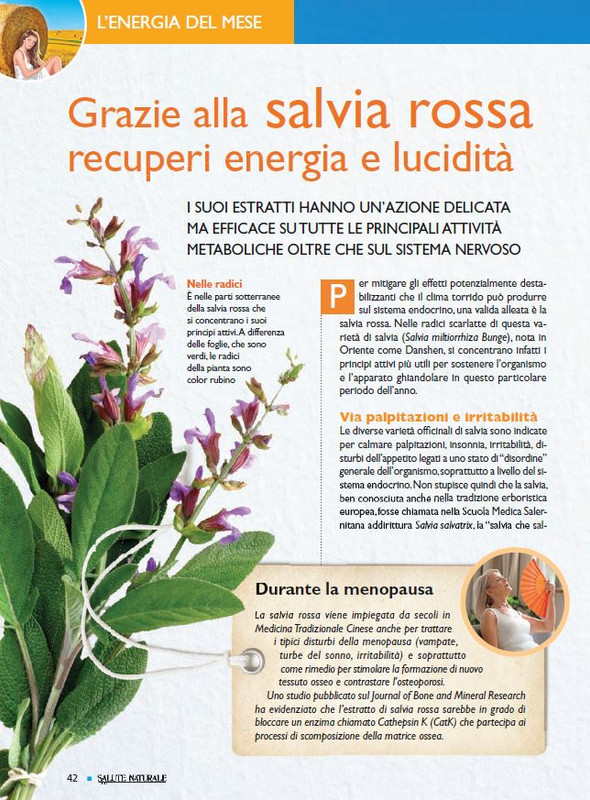 Sal Nat Lug 2021 (7)