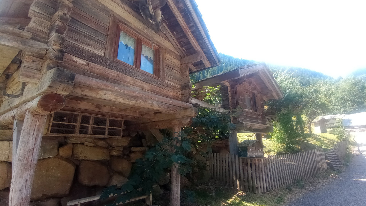 IMG_20250713_110236 (Large) - Copy