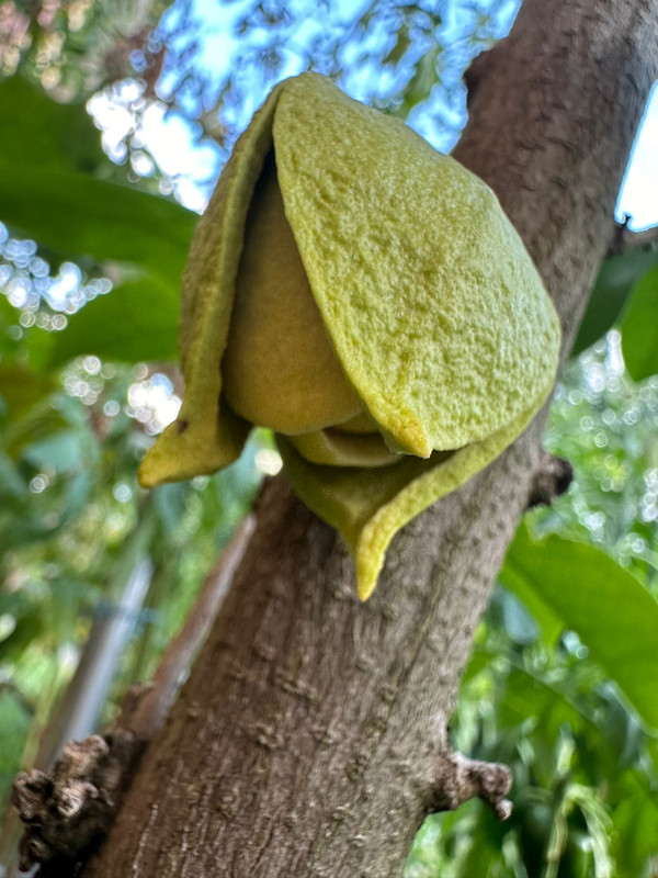 Obrázek WhatsApp, 2024-08-17 v 21.33.15_76714ce9