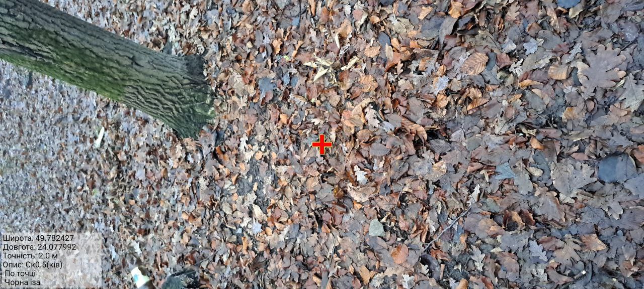 e6f89483b3afb6736981d8cd3c4026c834d2