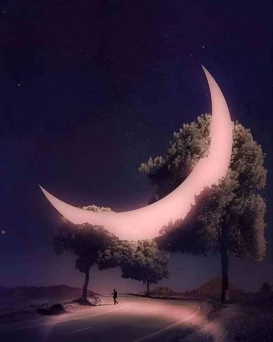 pink-moon.jpg