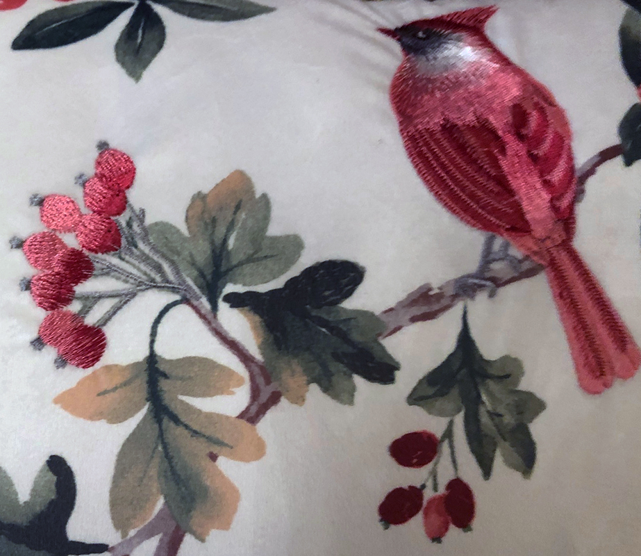 01birdpillowclosecardinal2