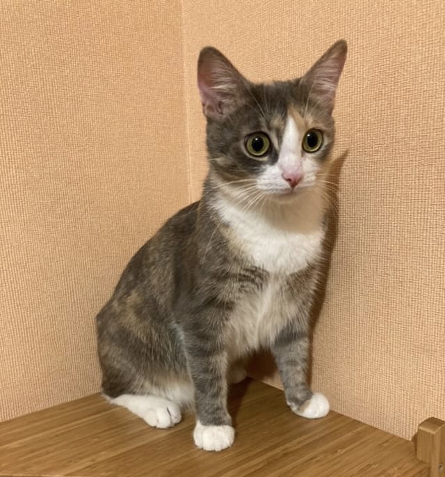 9690648E-D6F8-47E2-87E2-3BB7D273E7B6