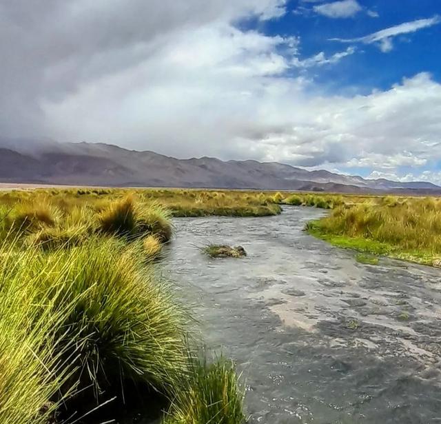 RUTA DE LOS SEIS MILES. BALCON DEL PISSIS Y LAGUNAS NEGRA Y ESMERALDA - ARGENTINA INFINITA II/ TORRES DEL PAINE (7)