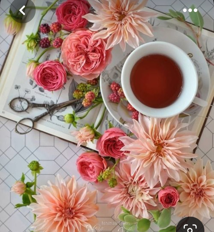 Screenshot_20230717_215715_Pinterest