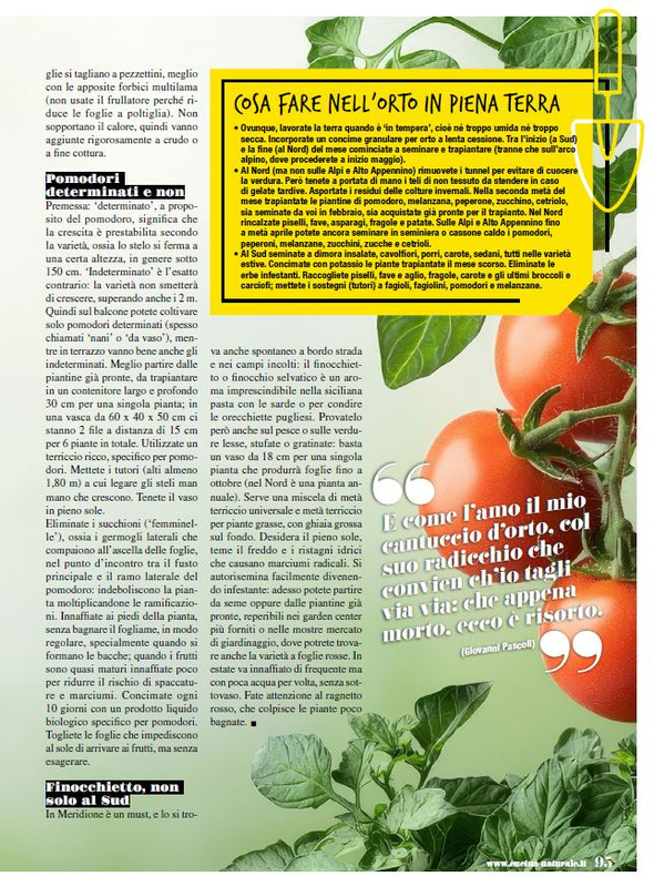 Cucina Nat Apr 2026 (8)