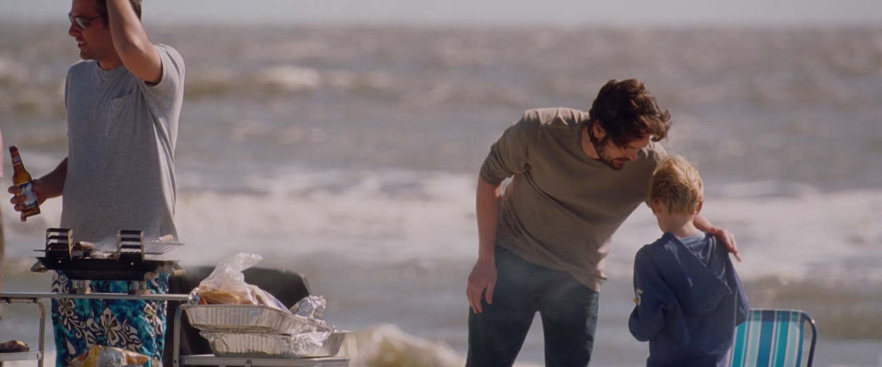 Dear John (2010) (1080p BluRay x265 FreetheFish)-3