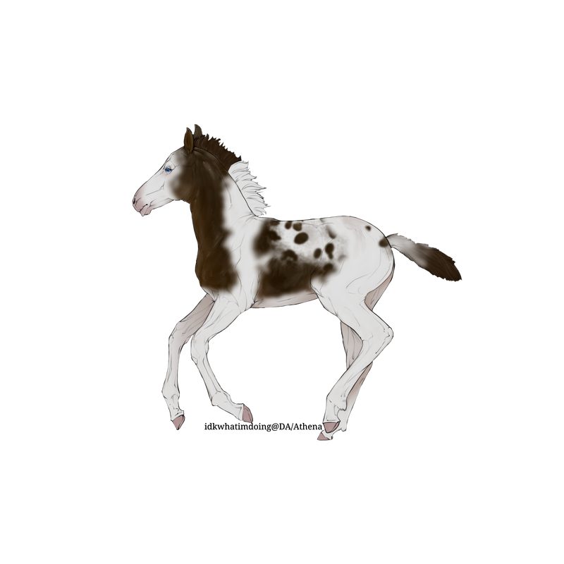 Untitled88-20250713204739.png